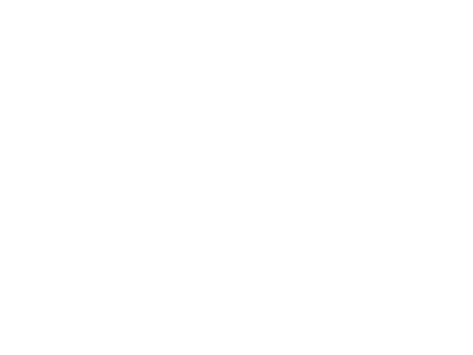 SL Express